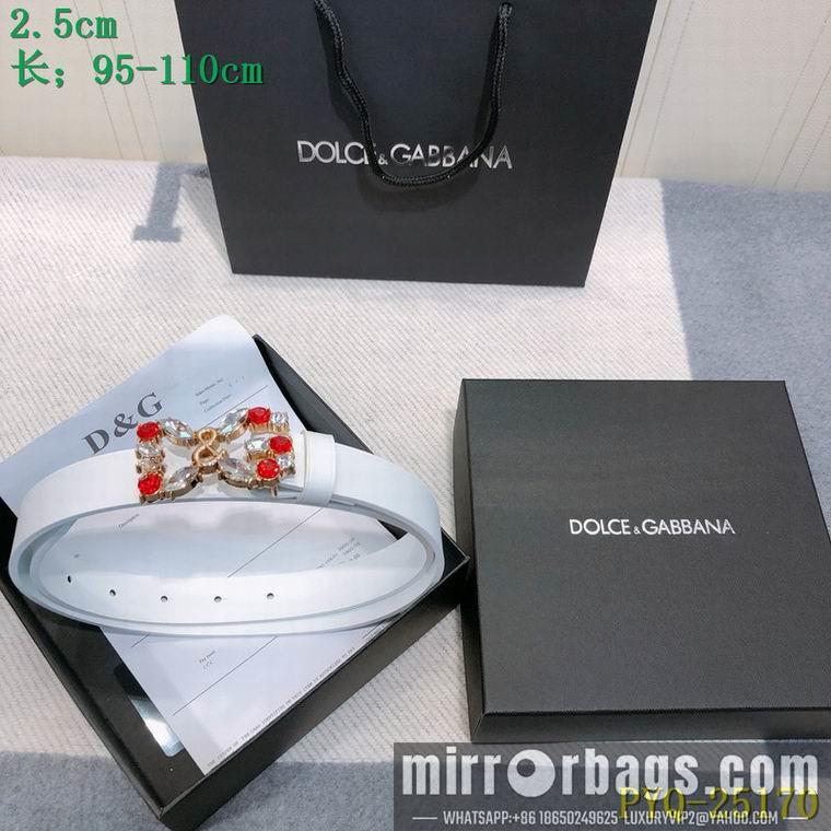 DG Belt 25mmX95-110CM 8L04