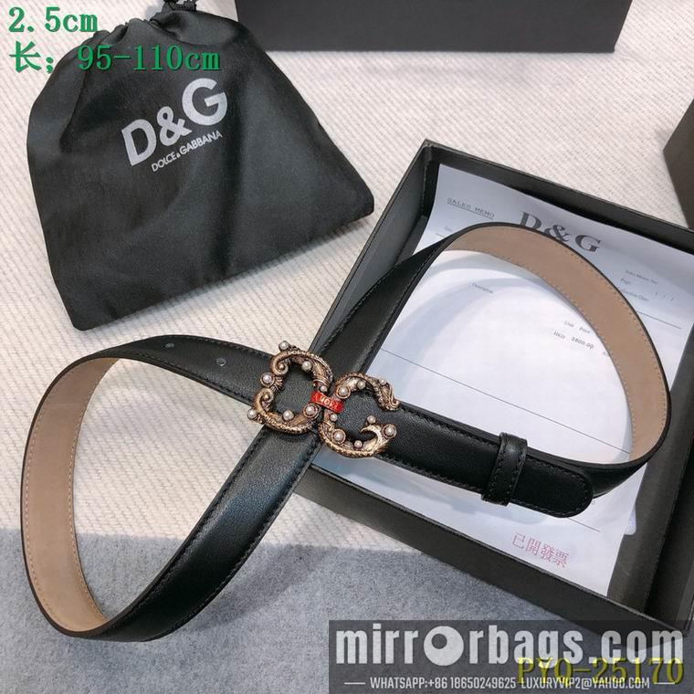 DG Belt 25mmX95-110CM 8L03
