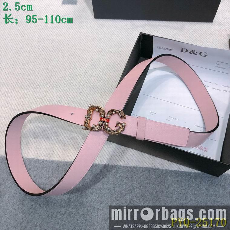 DG Belt 25mmX95-110CM 8L03