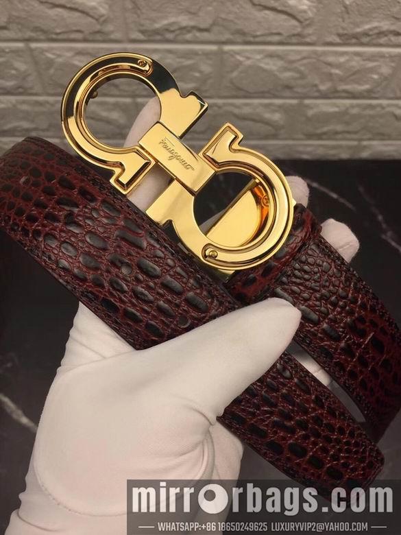 Ferragamo 34mmX95-125 7D34