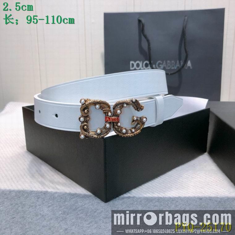 DG Belt 25mmX95-110CM 8L03
