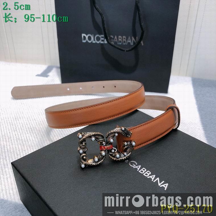 DG Belt 25mmX95-110CM 8L03