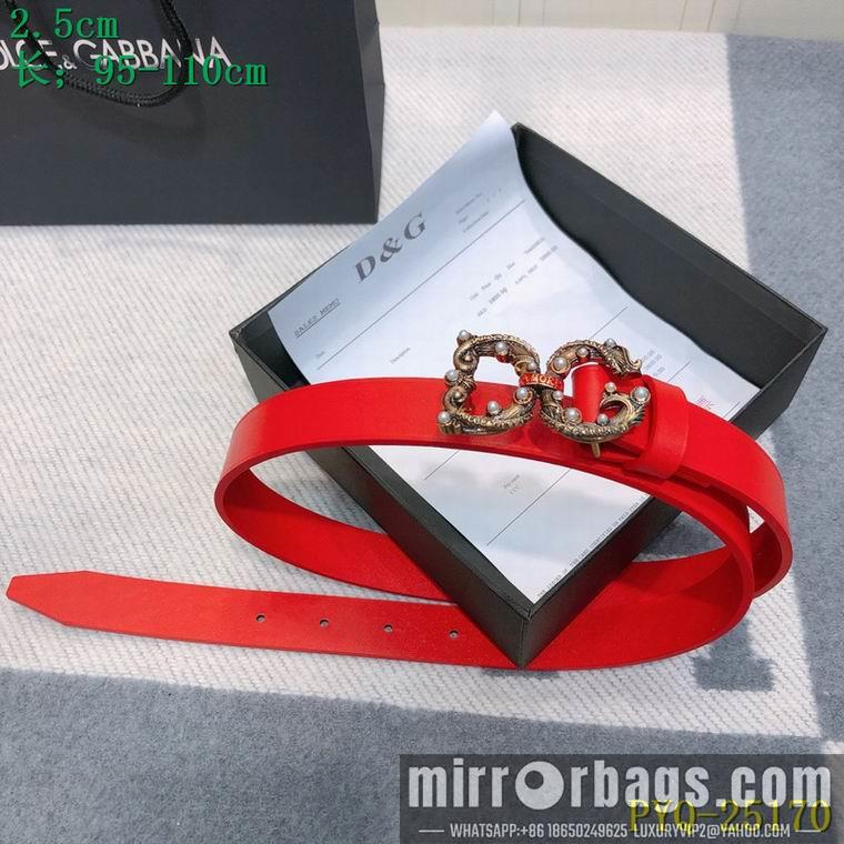 DG Belt 25mmX95-110CM 8L03