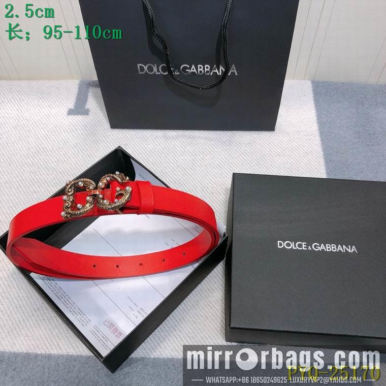 DG Belt 25mmX95-110CM 8L03