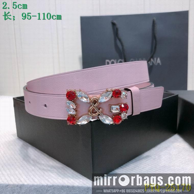 DG Belt 25mmX95-110CM 8L04