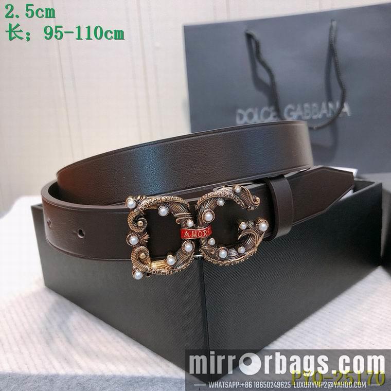 DG Belt 25mmX95-110CM 8L03