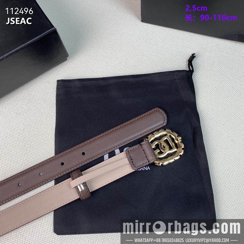DG belt 25mmX90-110cm 8L01