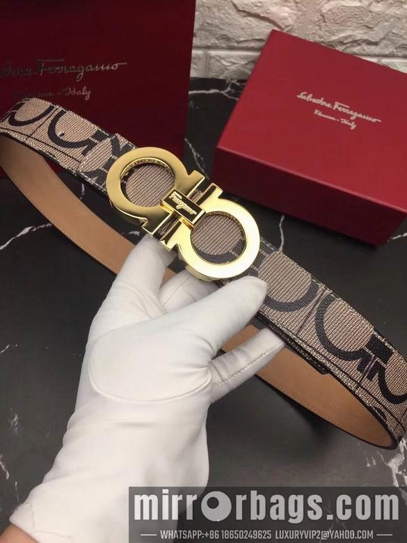 Ferragamo 34mmX95-125 7D63