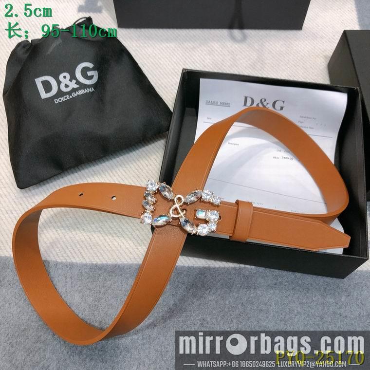 DG Belt 25mmX95-110CM 8L04