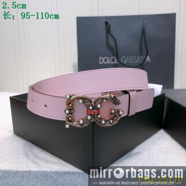 DG Belt 25mmX95-110CM 8L03