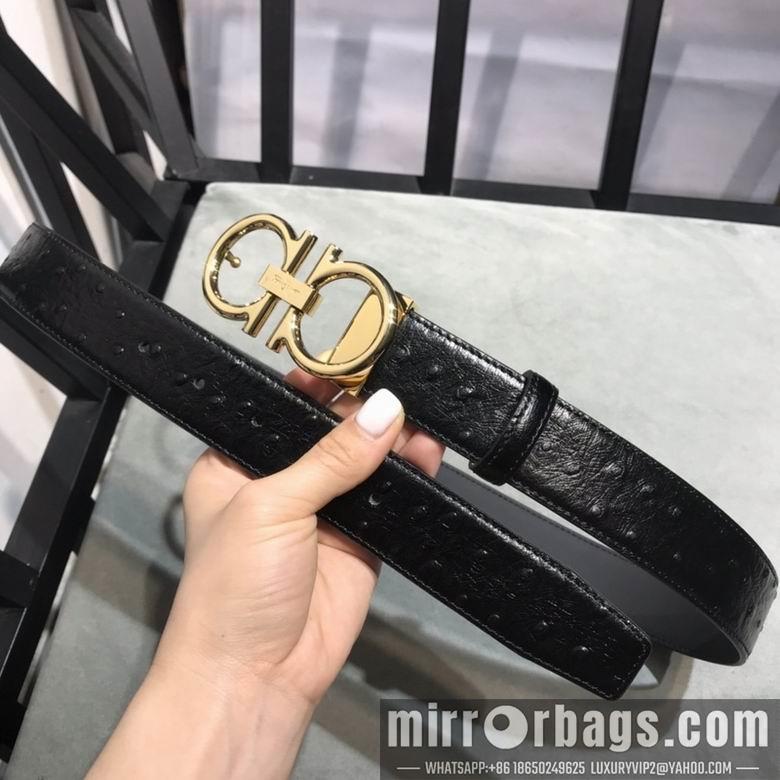 Ferragamo 34mmX95-125 7D205