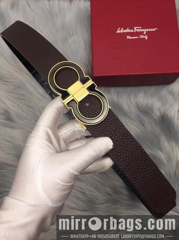 Ferragamo 34mmX95-125 7D55