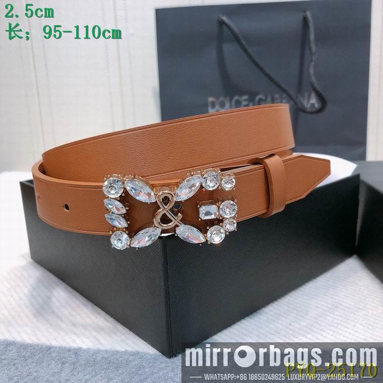 DG Belt 25mmX95-110CM 8L04