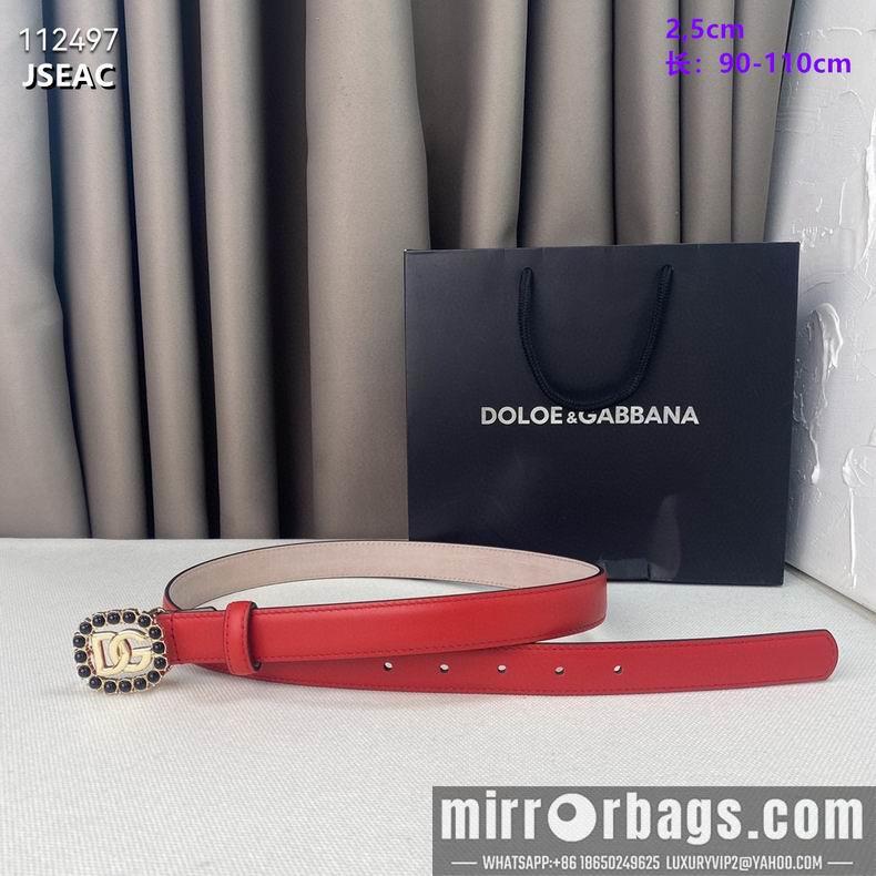 DG belt 25mmX90-110cm 8L02