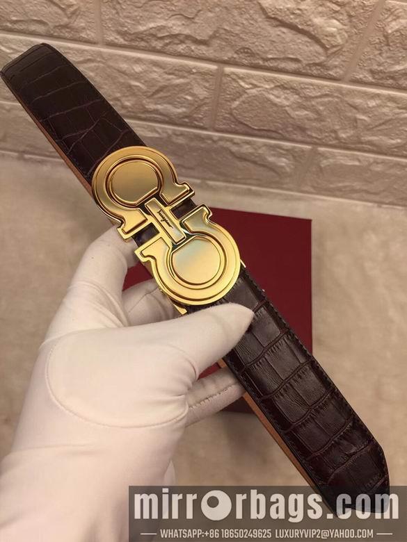 Ferragamo 34mmX95-125 7D67