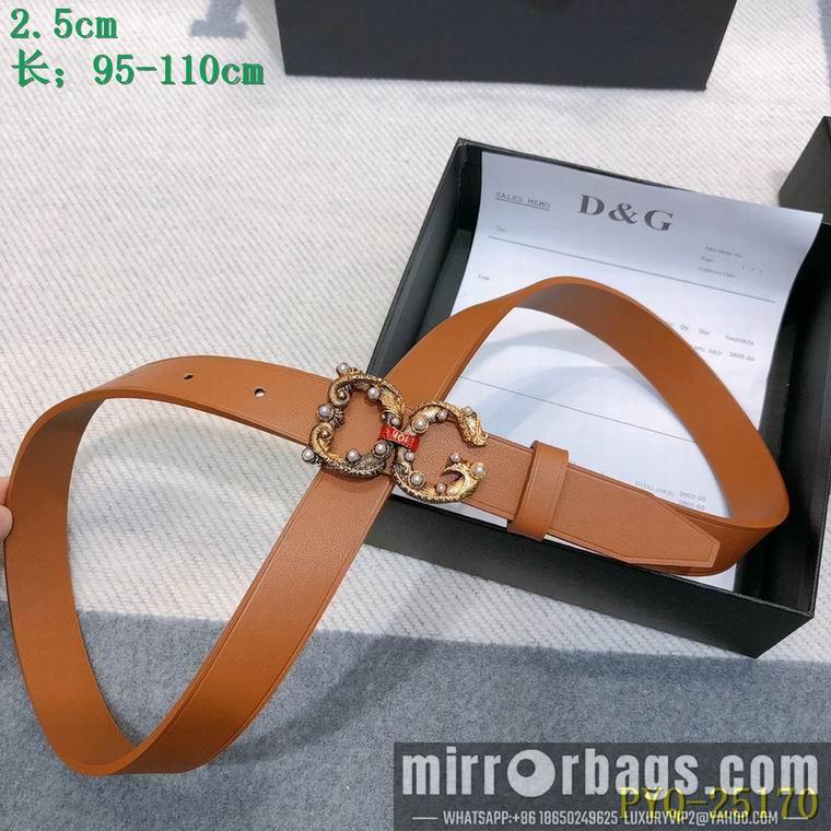 DG Belt 25mmX95-110CM 8L03