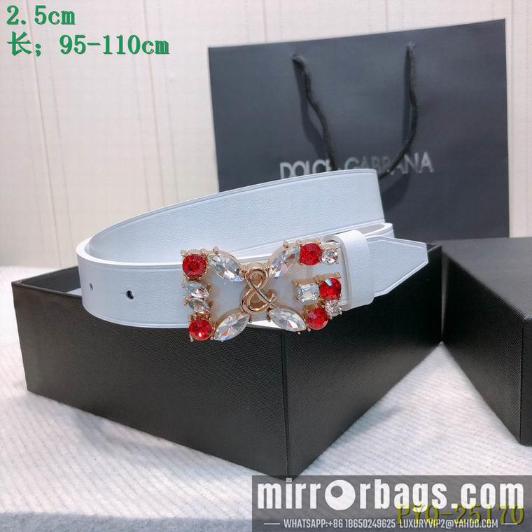 DG Belt 25mmX95-110CM 8L04