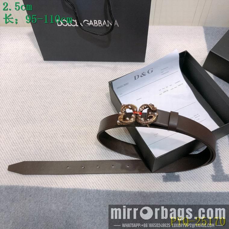 DG Belt 25mmX95-110CM 8L03