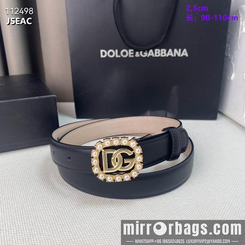 DG belt 25mmX90-110cm 8L02