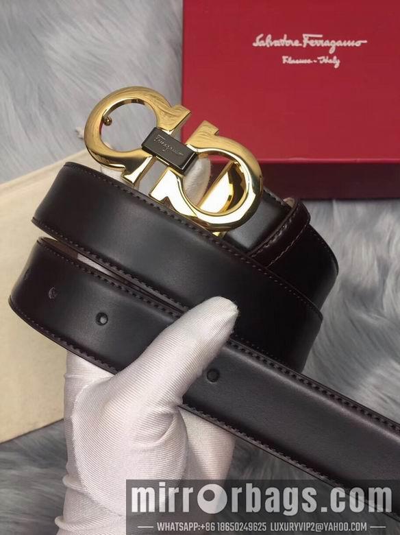 Ferragamo 34mmX95-125 7D30