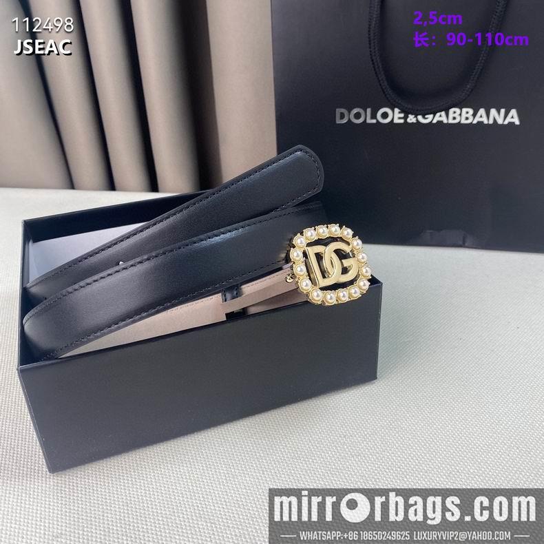 DG belt 25mmX90-110cm 8L02