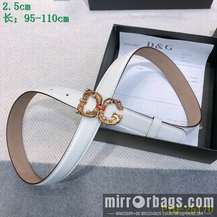 DG Belt 25mmX95-110CM 8L03
