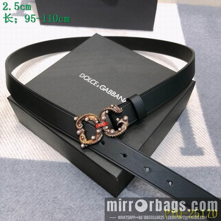 DG Belt 25mmX95-110CM 8L03