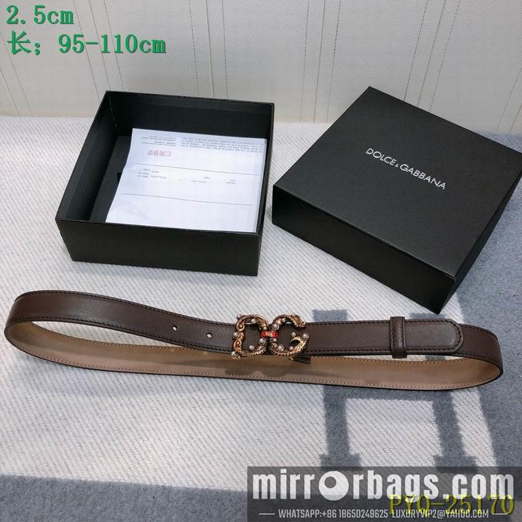 DG Belt 25mmX95-110CM 8L03