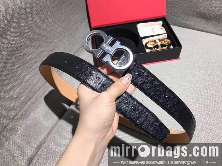 Ferragamo 34mmX95-125 7D03