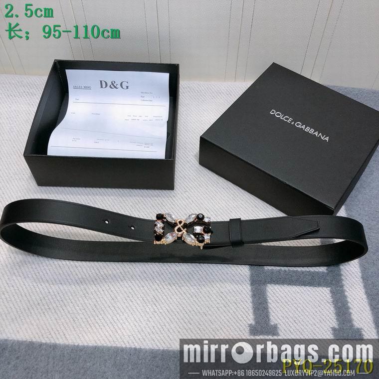 DG Belt 25mmX95-110CM 8L04