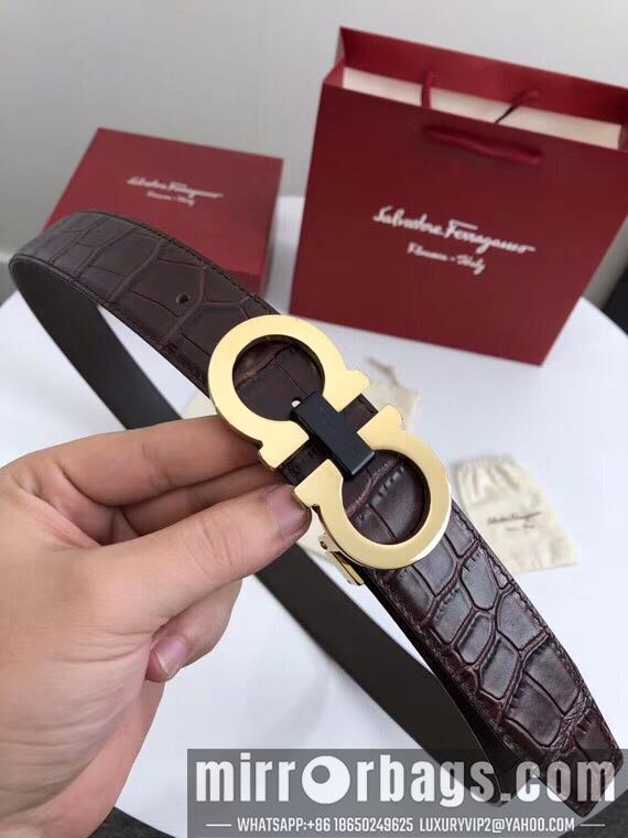 Ferragamo 34mmX95-125 7D129