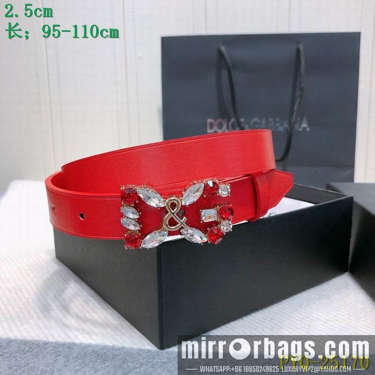 DG Belt 25mmX95-110CM 8L04