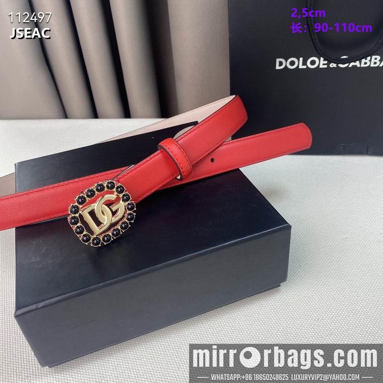 DG belt 25mmX90-110cm 8L02