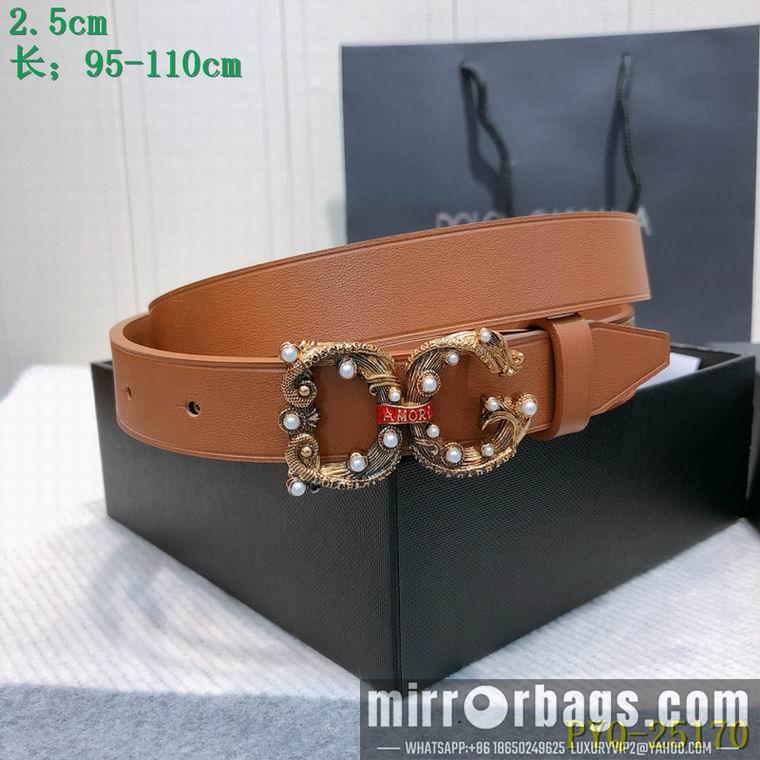DG Belt 25mmX95-110CM 8L03