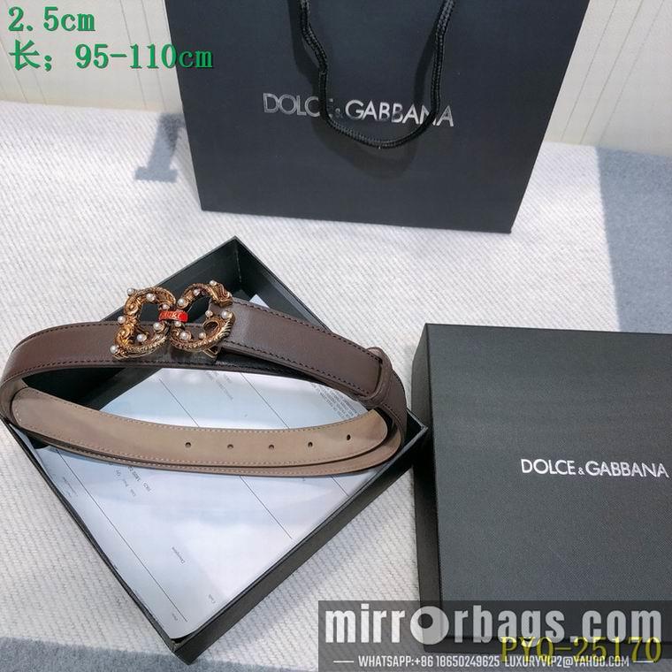 DG Belt 25mmX95-110CM 8L03