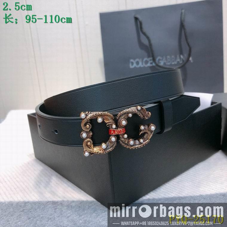 DG Belt 25mmX95-110CM 8L03