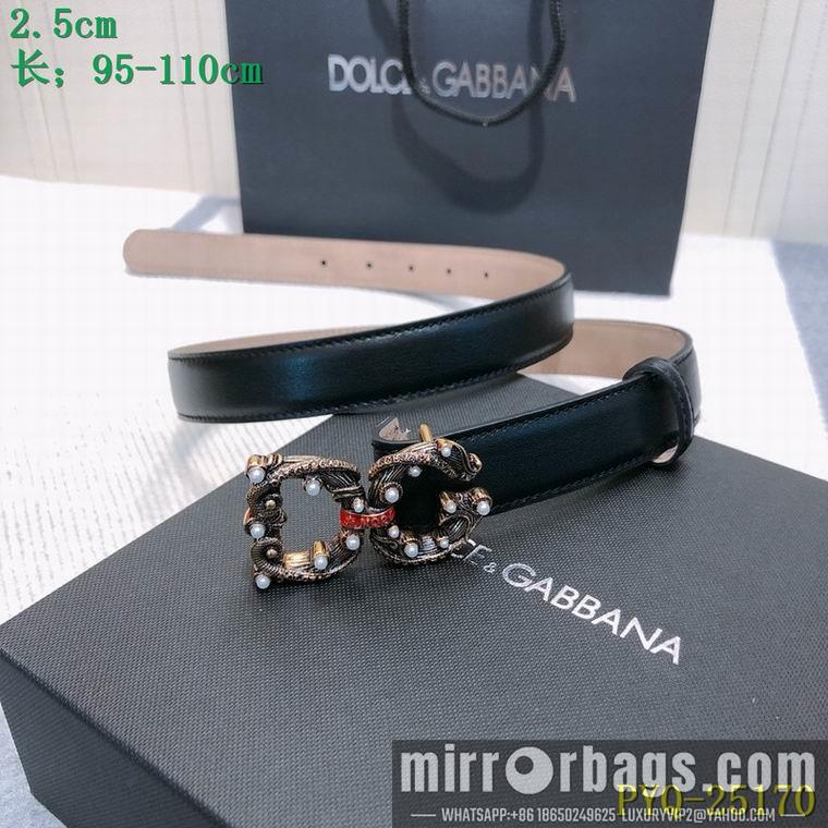 DG Belt 25mmX95-110CM 8L03