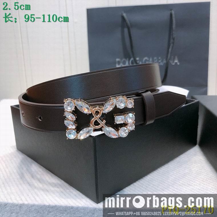 DG Belt 25mmX95-110CM 8L04