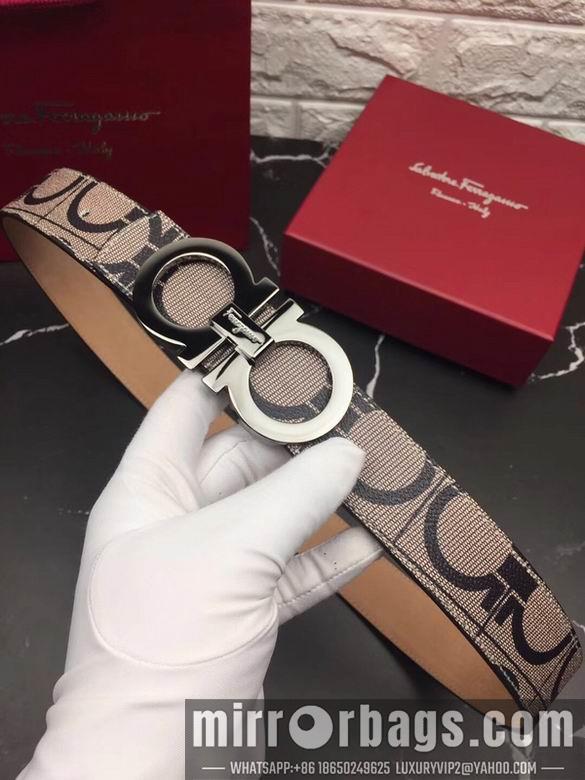 Ferragamo 34mmX95-125 7D63