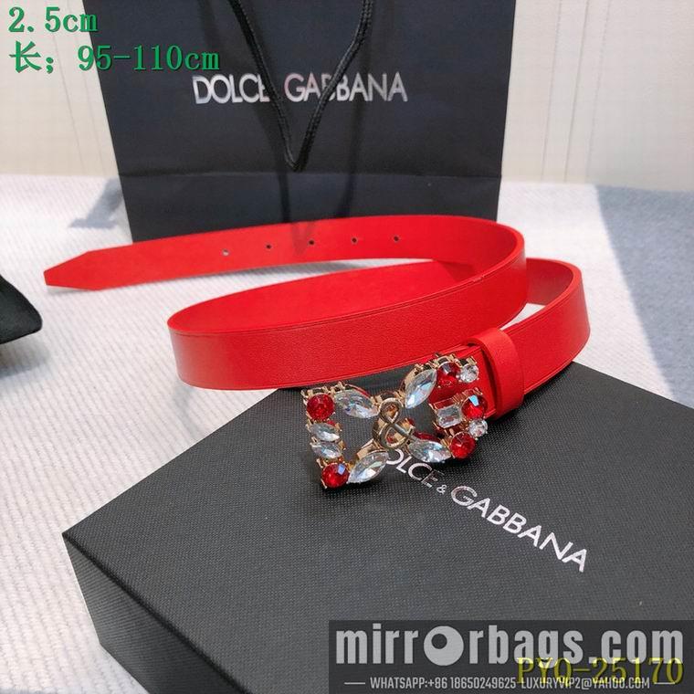 DG Belt 25mmX95-110CM 8L04