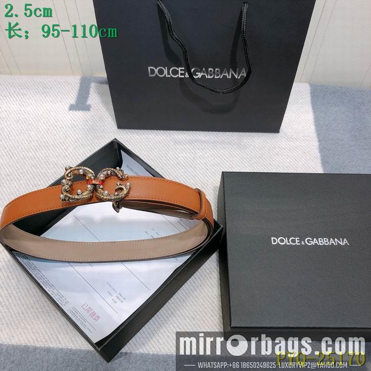 DG Belt 25mmX95-110CM 8L03