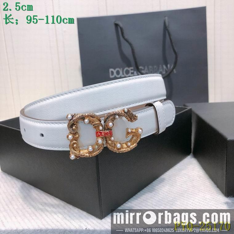 DG Belt 25mmX95-110CM 8L03
