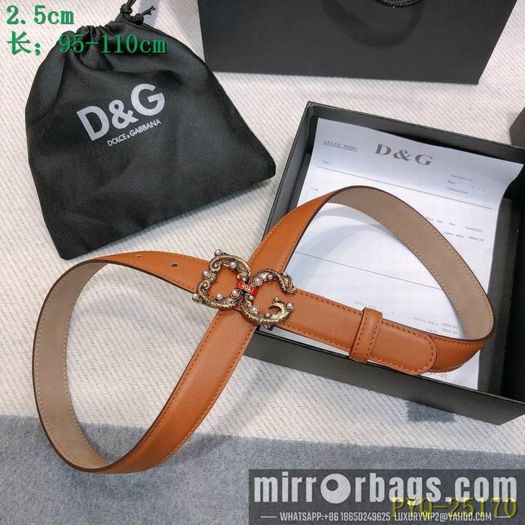DG Belt 25mmX95-110CM 8L03