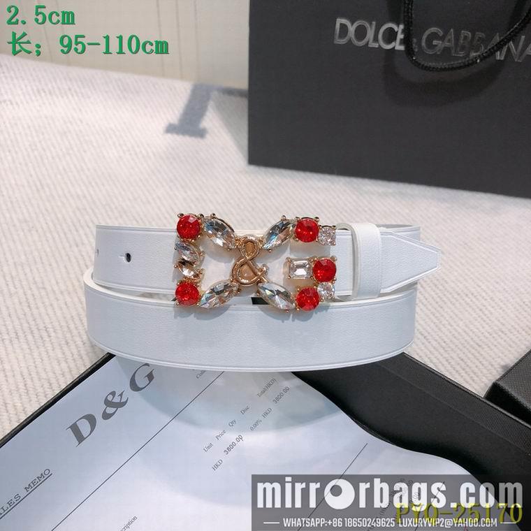 DG Belt 25mmX95-110CM 8L04