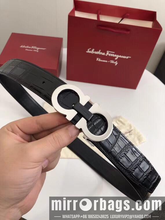 Ferragamo 34mmX95-125 7D129