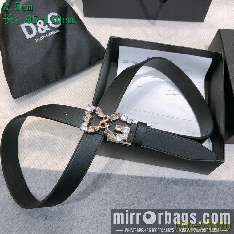 DG Belt 25mmX95-110CM 8L04