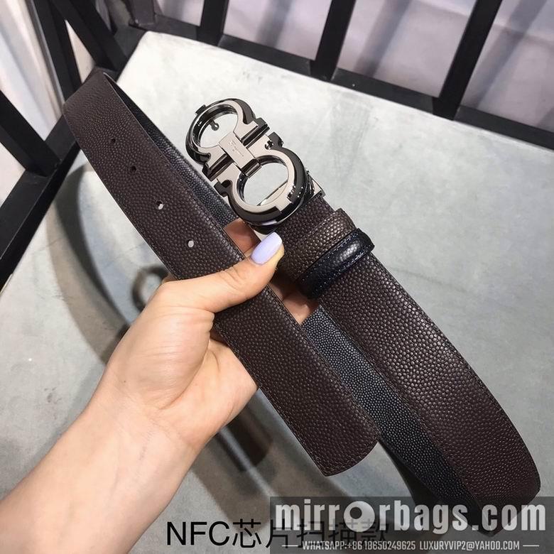Ferragamo 34mmX95-125 7D182