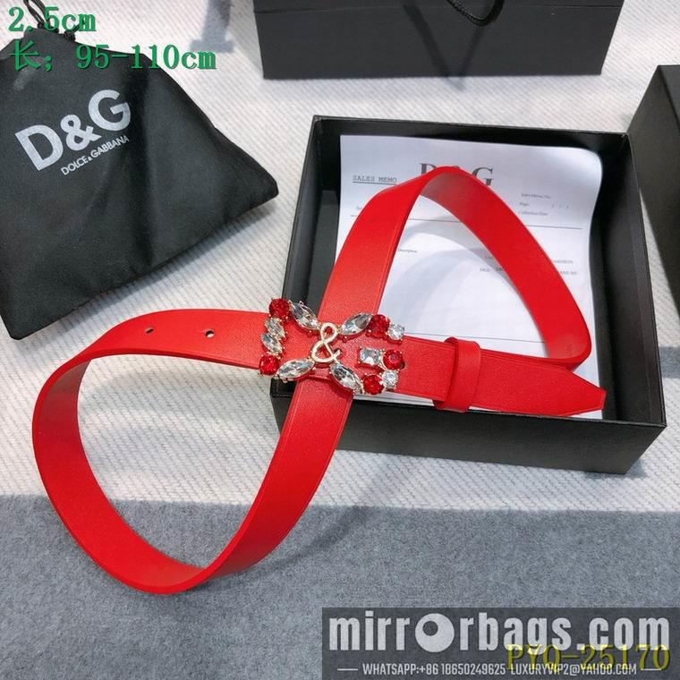 DG Belt 25mmX95-110CM 8L04