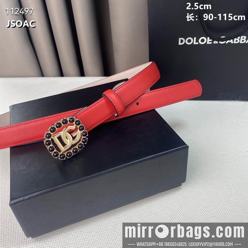 DG belt 25mmX90-110cm 8L01
