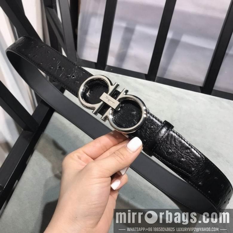 Ferragamo 34mmX95-125 7D205